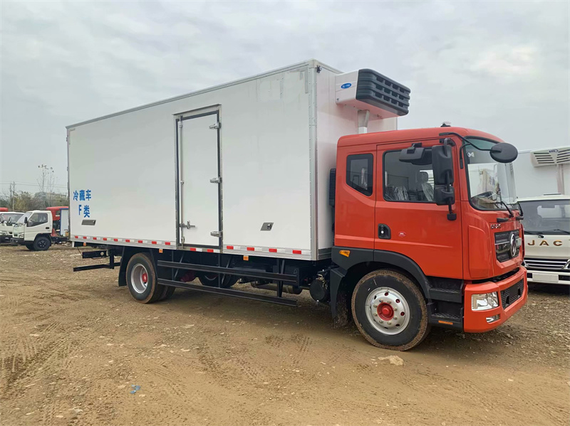 東風(fēng)多利卡D9冷藏車 東風(fēng)多利卡D9冷藏車